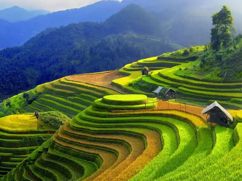 Best highlights of Nortern Vietnam